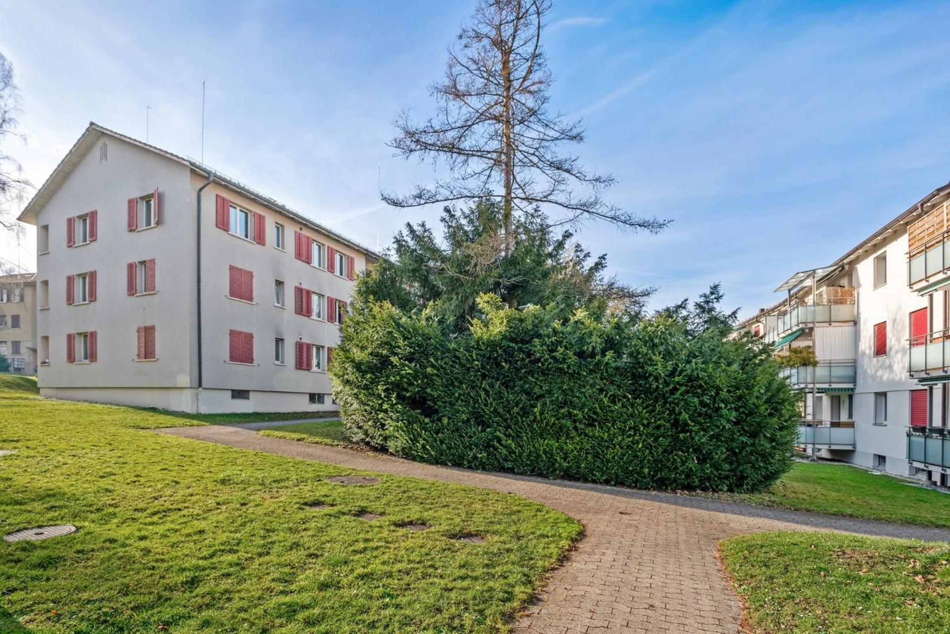 Altwiesenstrasse 144 Daire Zürih Dış mekan fotoğraf